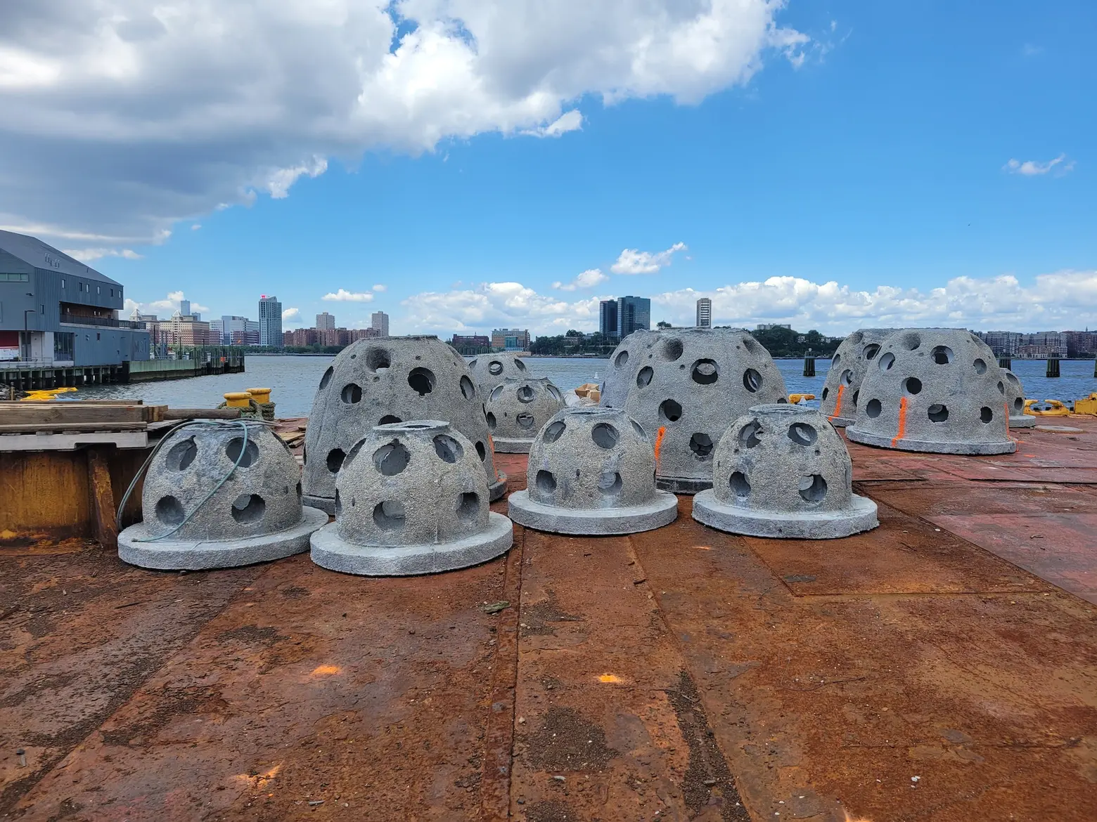New underwater habitat with 20 million juvenile oysters deployed at NYC’s Gansevoort Peninsula