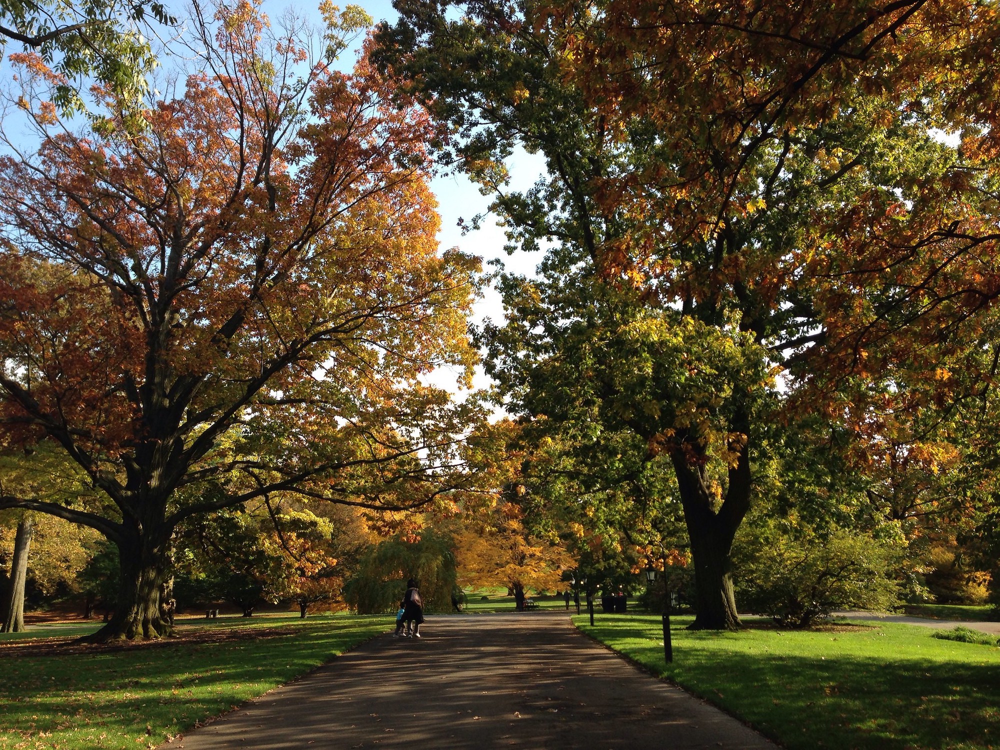 The Best Spots To See Fall Foliage In NYC | 6sqft