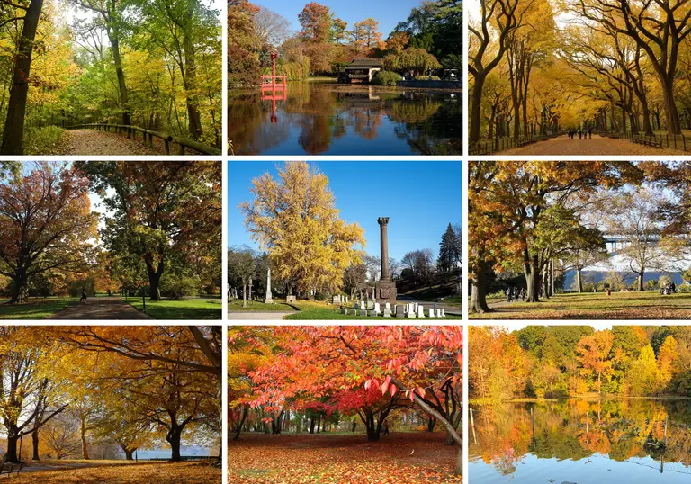 The best spots to see fall foliage in NYC