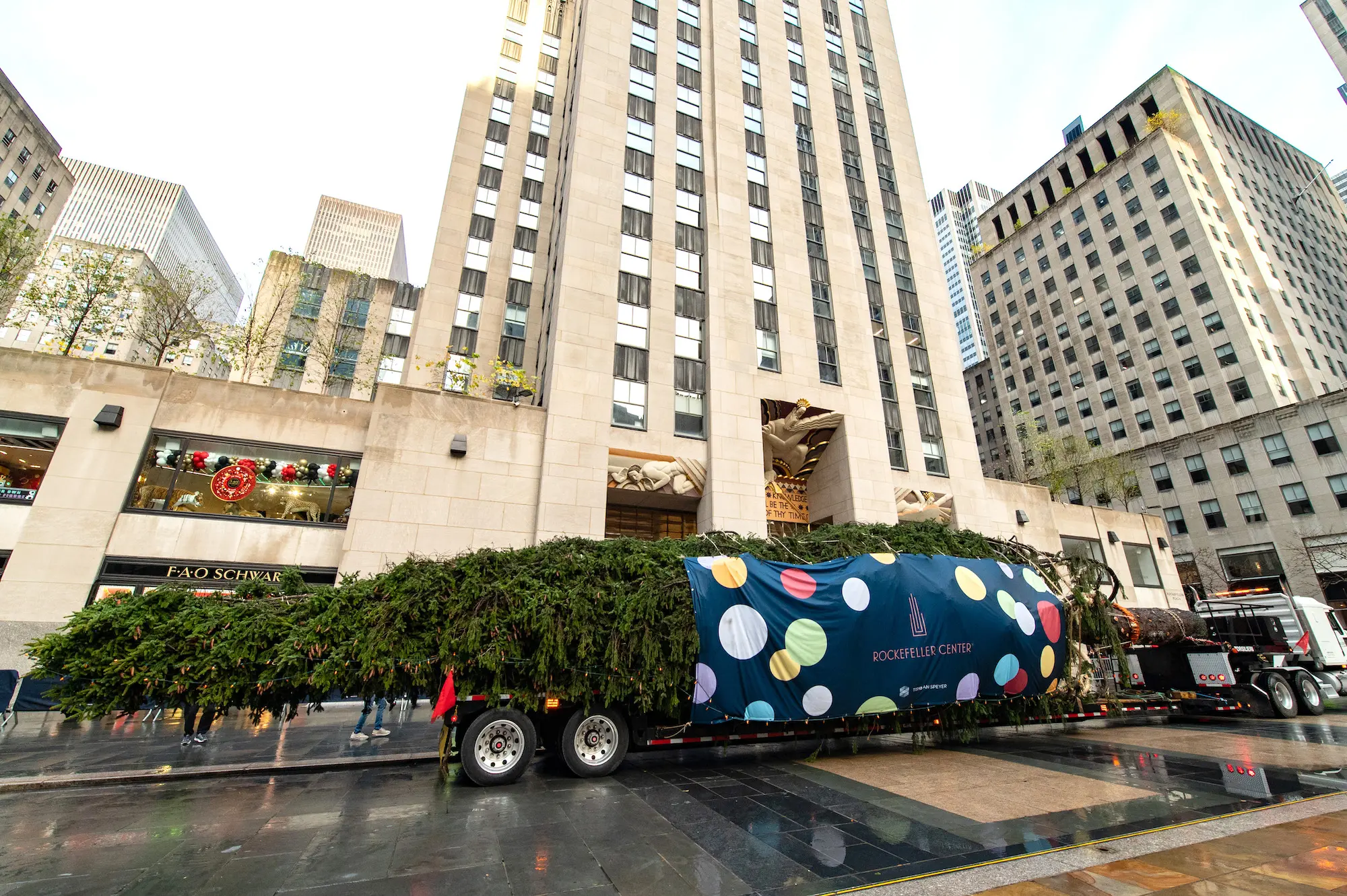 Everything You Need To Know About The 2022 Rockefeller Christmas Tree