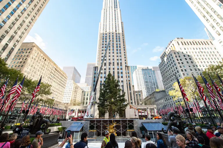 The 2022 Rockefeller Center Christmas Tree has arrived in NYC