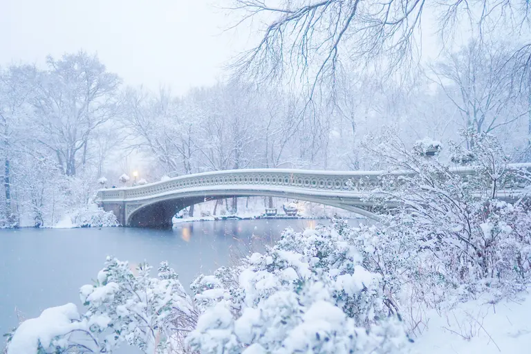 Will New York City see a White Christmas this year?