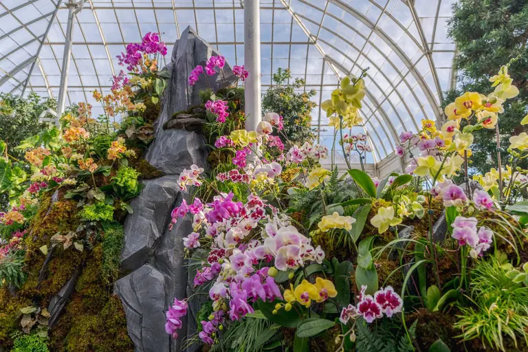 NYBG’s 20th annual orchid show is inspired by ancient Chinese garden design
