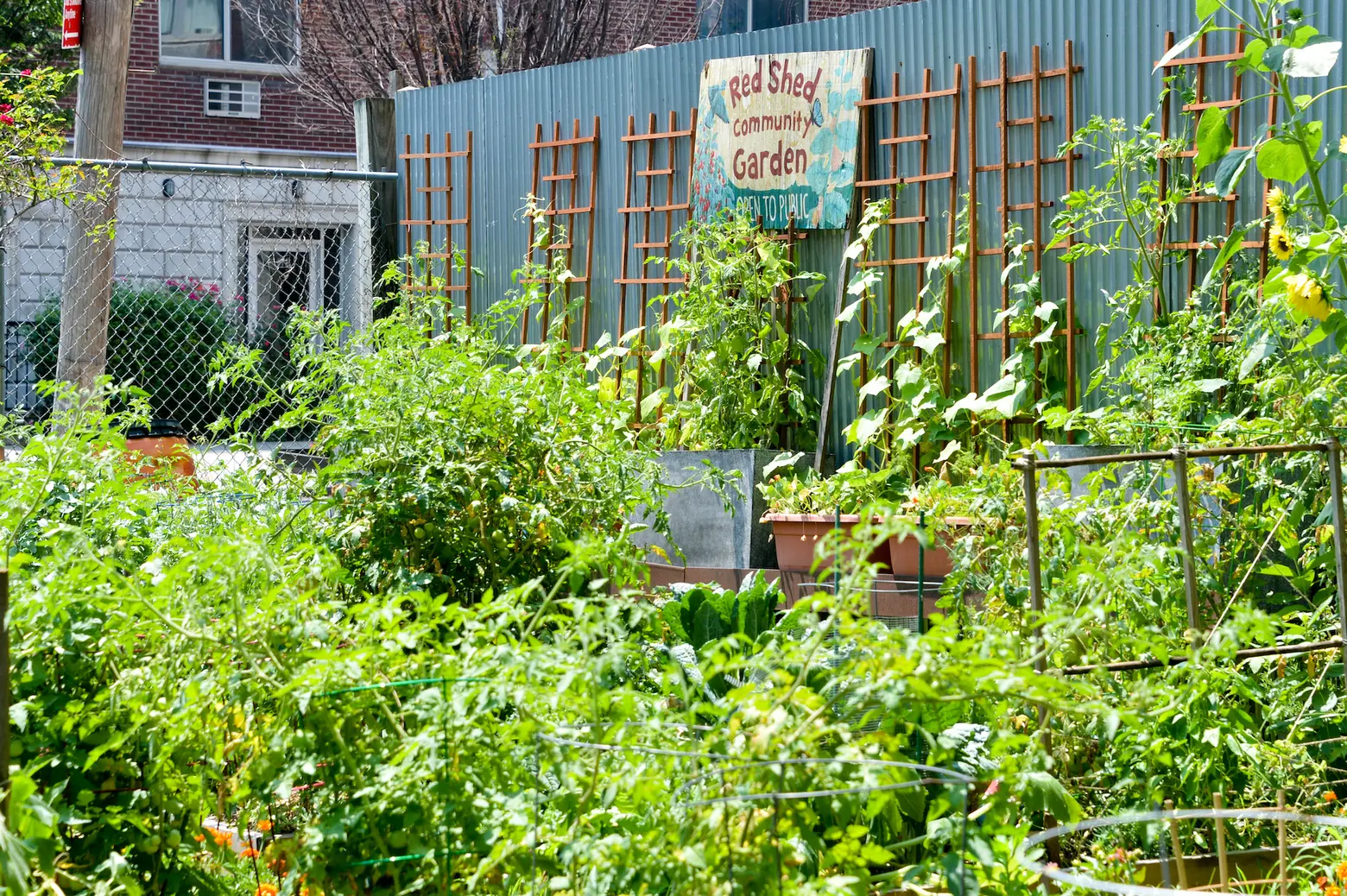 100+ community gardens in NYC will open to the public this weekend