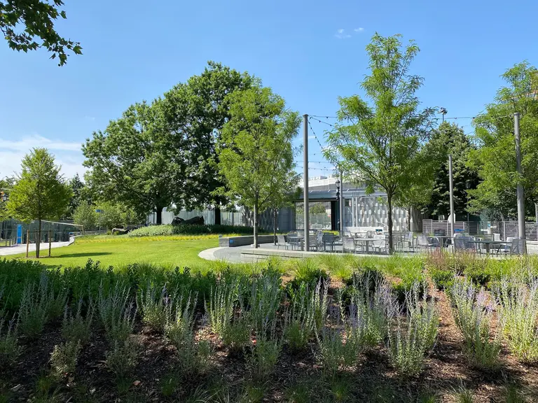 New Jersey’s largest resiliency park can hold up to 2 million gallons of stormwater