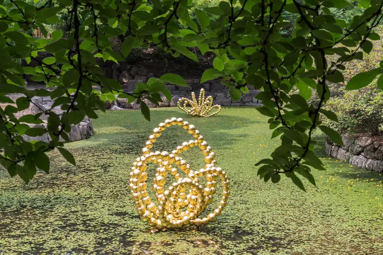 Hypnotizing flower-themed sculptural exhibit coming to Brooklyn Botanic Garden