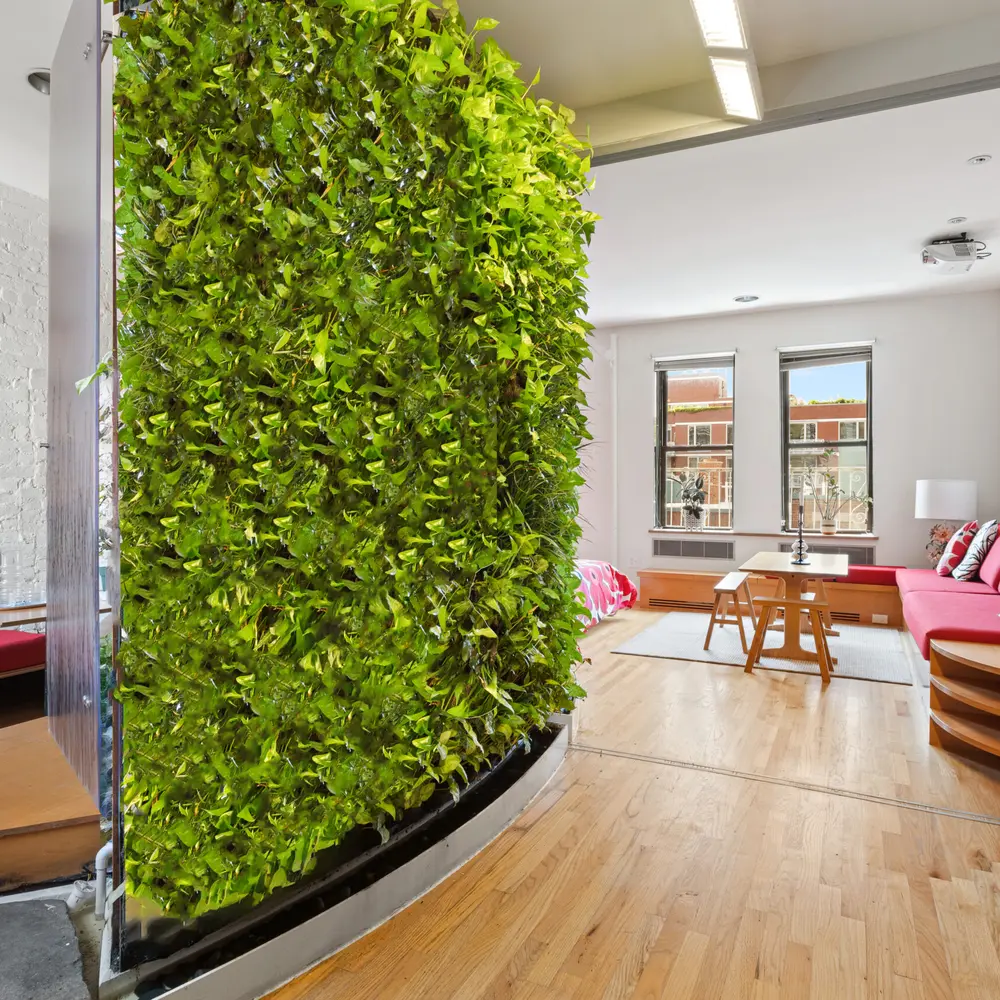 $899K eco-friendly East Village co-op has a 400-plant green wall