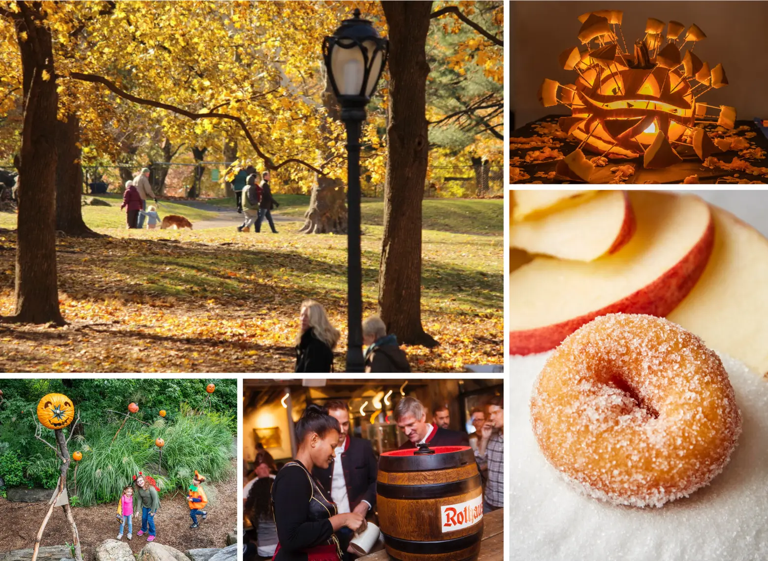 Fall in NYC: The best of autumn in the Big Apple