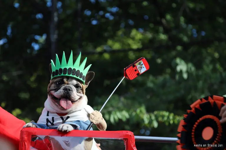 Tompkins Square Halloween Dog Parade is back on and bigger than before