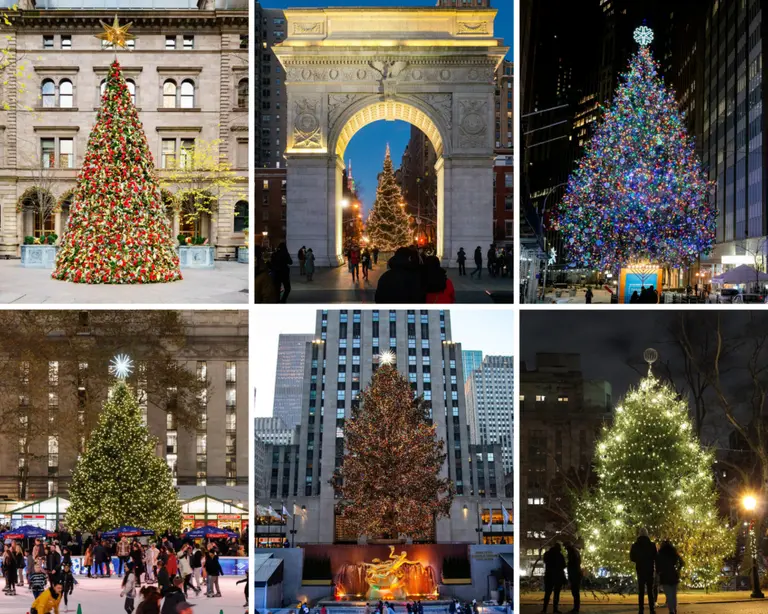 All of New York City’s holiday tree lightings