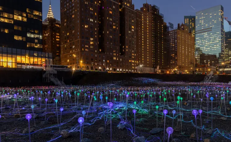 Free six-acre light installation ‘Field of Light’ opens in Midtown East