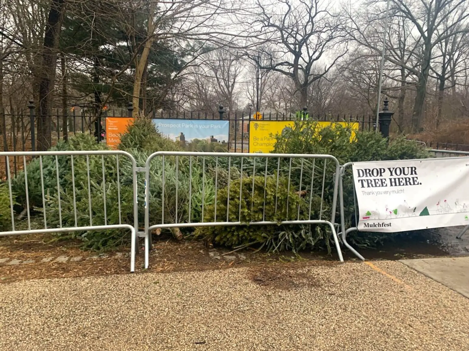 Recycle Your Christmas Tree at NYC’s Mulchfest