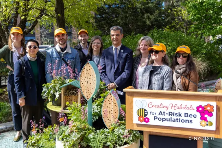 NYC to install ‘bee hotels’ in 7 public plazas to protect at-risk pollinators