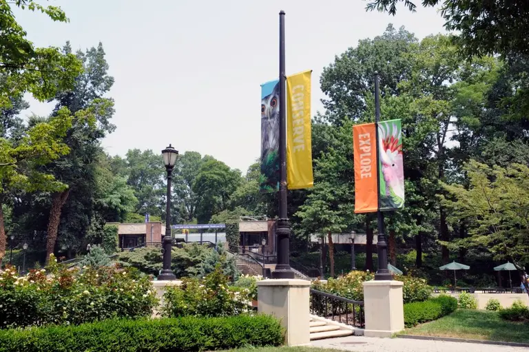 Prospect Park Zoo to reopen Memorial Day weekend after 8-month closure