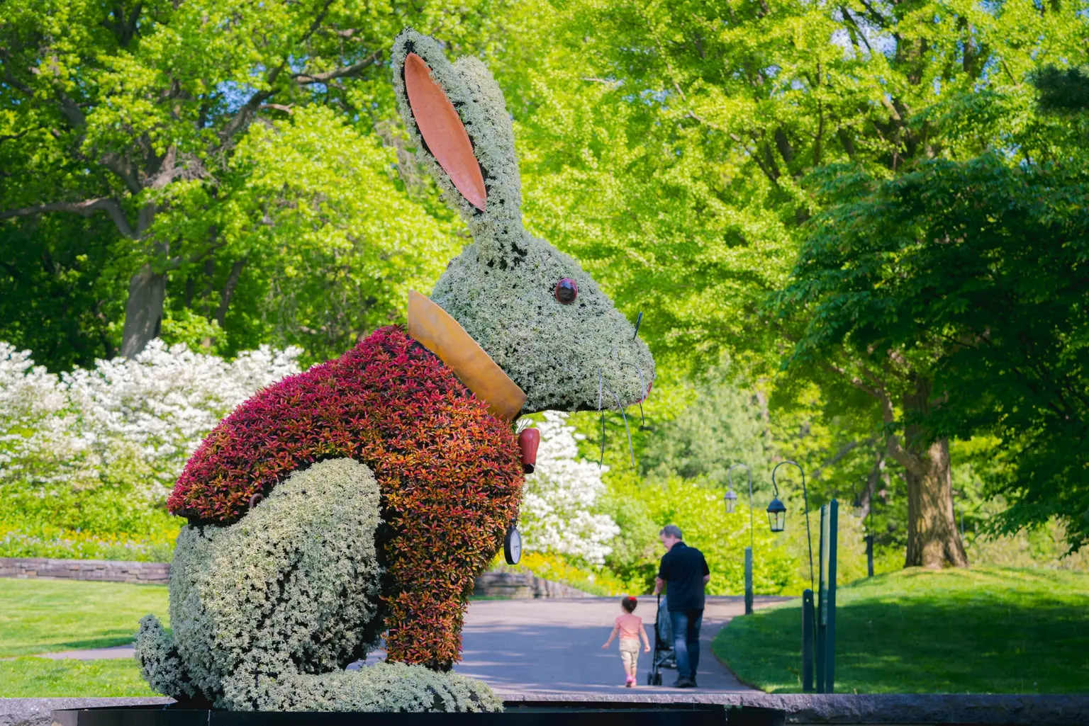 fantastical-flowers-and-peculiar-plants-new-york-botanical-garden