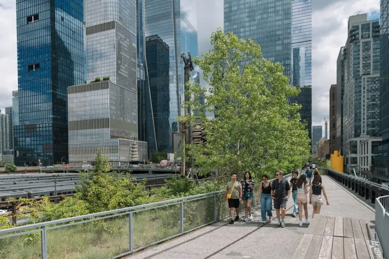 The High Line celebrates 15 years as a public park