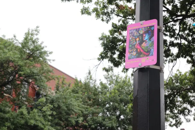 New signs along Flatbush Avenue honor Brooklyn’s African heritage