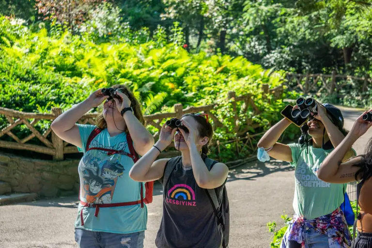 Inside the world of NYC birding: City wildlife is more than ‘just pigeons and cockroaches’