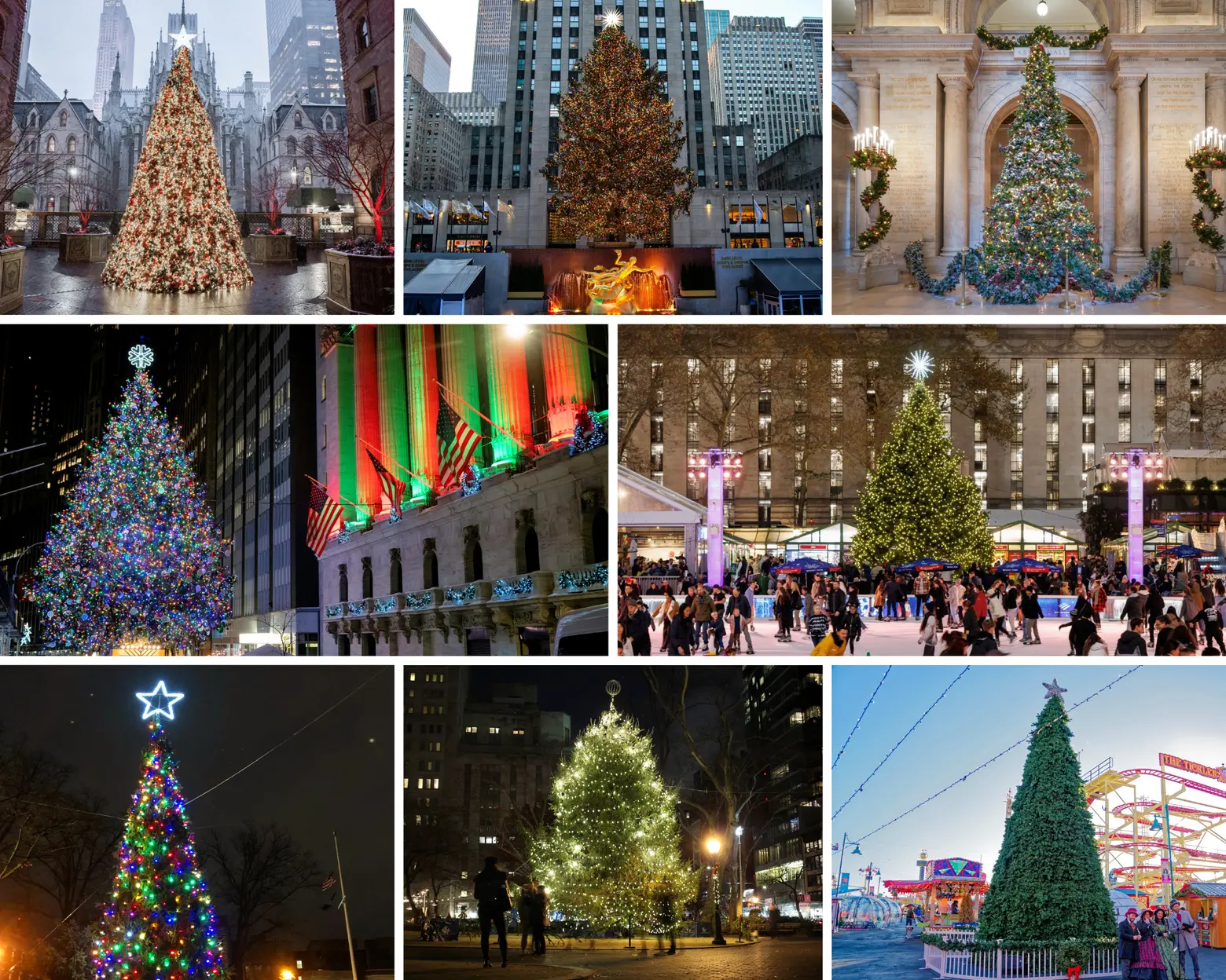 The best Christmas trees in New York City