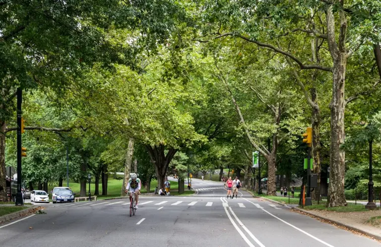 Redesign of Central Park drives will add space for pedestrians and cyclists